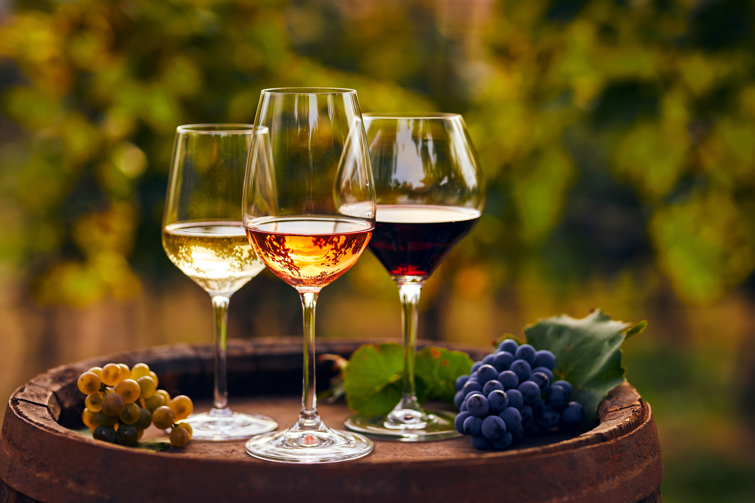 Bicchieri da vino: come scegliere